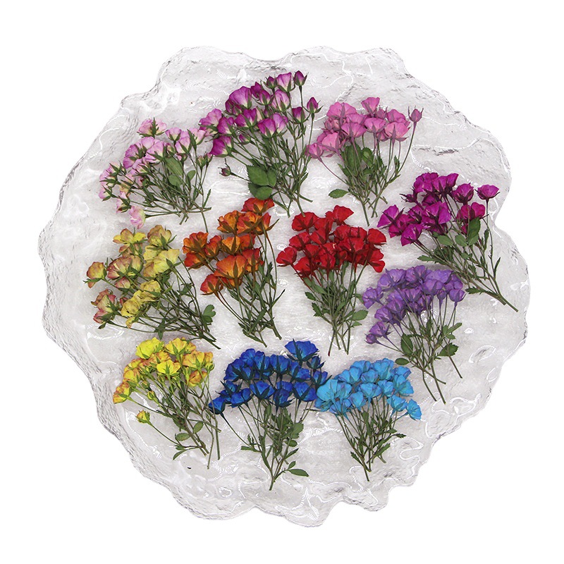 Dried Flower Bookmark - ดอกตูมดอกกุหลาบย้อมสีหลายสีทับแห้ง36x พืชดอกสมุนไพรสำหรับเครื่องประดับที่คั่นหนังสือโทรศัพท์สมุดภาพโปสการ์ด DIY