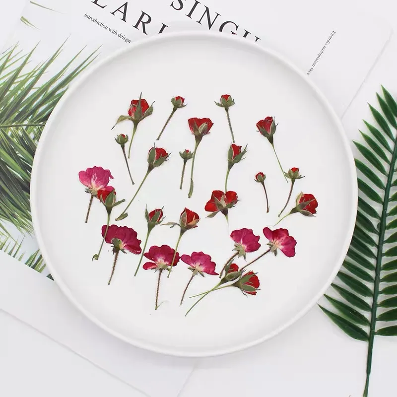Dried Flower Bookmark - 60ชิ้นแห้งด้านข้างสีแดง/สีม่วง/ชมพู/เหลืองดอกกุหลาบพืชสมุนไพรสำหรับเครื่องประดับโปสการ์ดเคสสมุดภาพ DIY