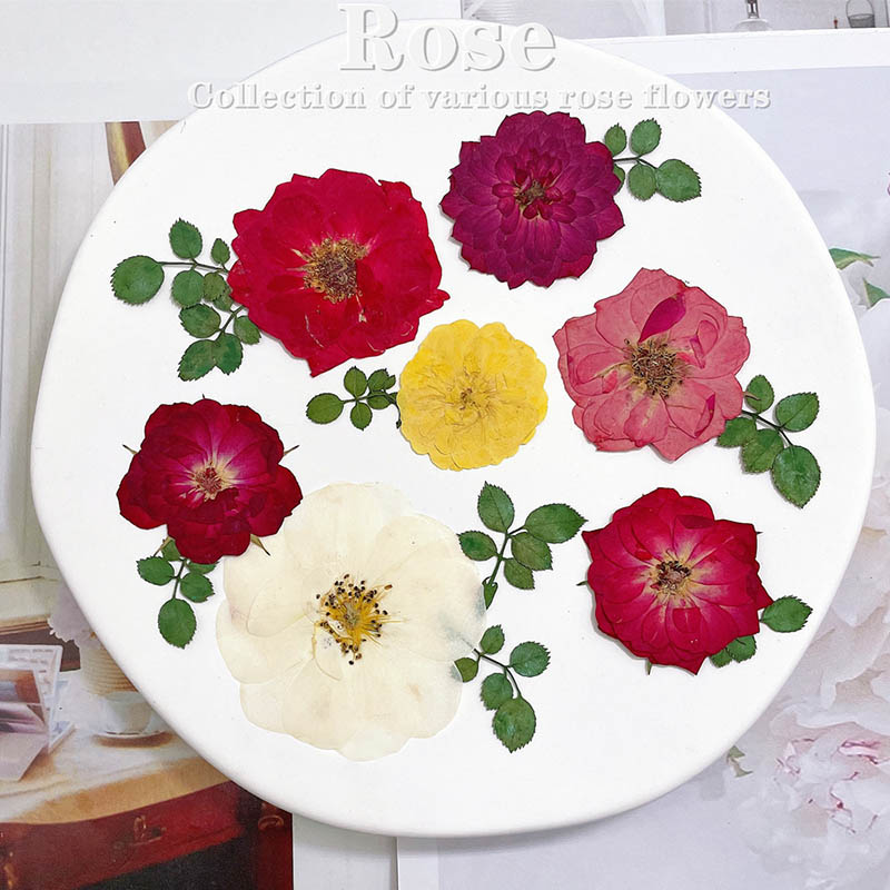 Dried Flower Bookmark - 60 ชิ้น Pressed แห้งสีแดงสีเหลืองสีชมพู Rose ดอกไม้พืชสมุนไพรสําหรับเครื่องประดับ