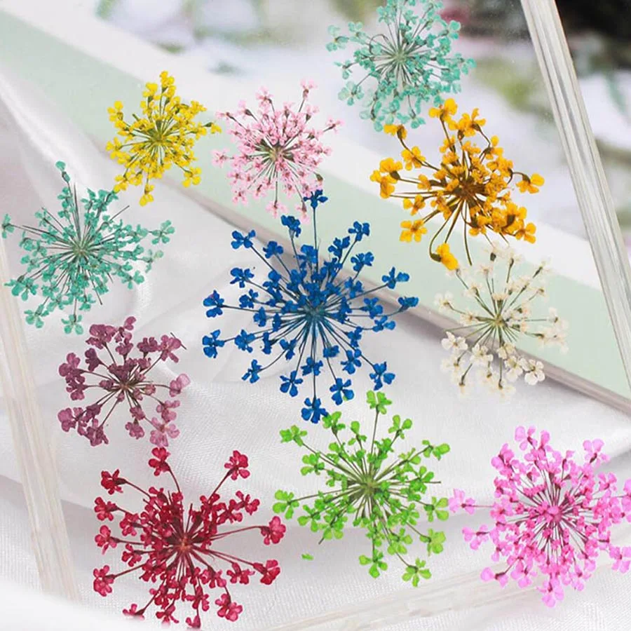 60 ชิ้นกดแห้ง 20-25 มิลลิเมตร  - Dried Flower Bookmark บทวิจารณ์และราคา