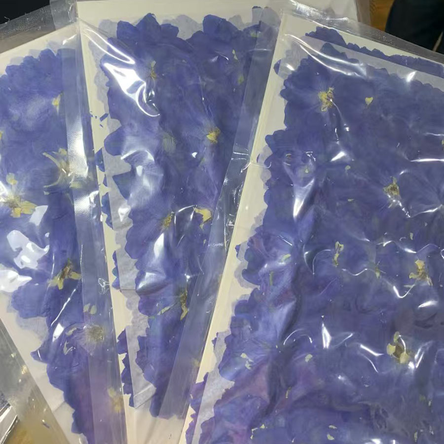 ดอกคอนโซลิดาส (Consolida Ajaci - Dried Flower Bookmark บทวิจารณ์และราคา