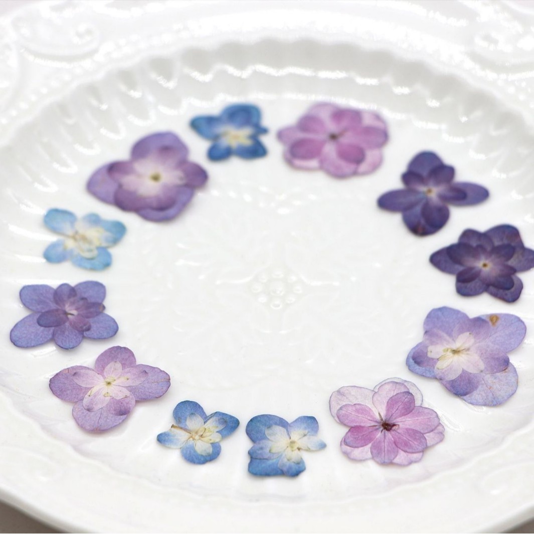 ดอกไฮเดรนเยียแห้งแบบดอกคู่ขนาด - Dried Flower Bookmark บทวิจารณ์และราคา