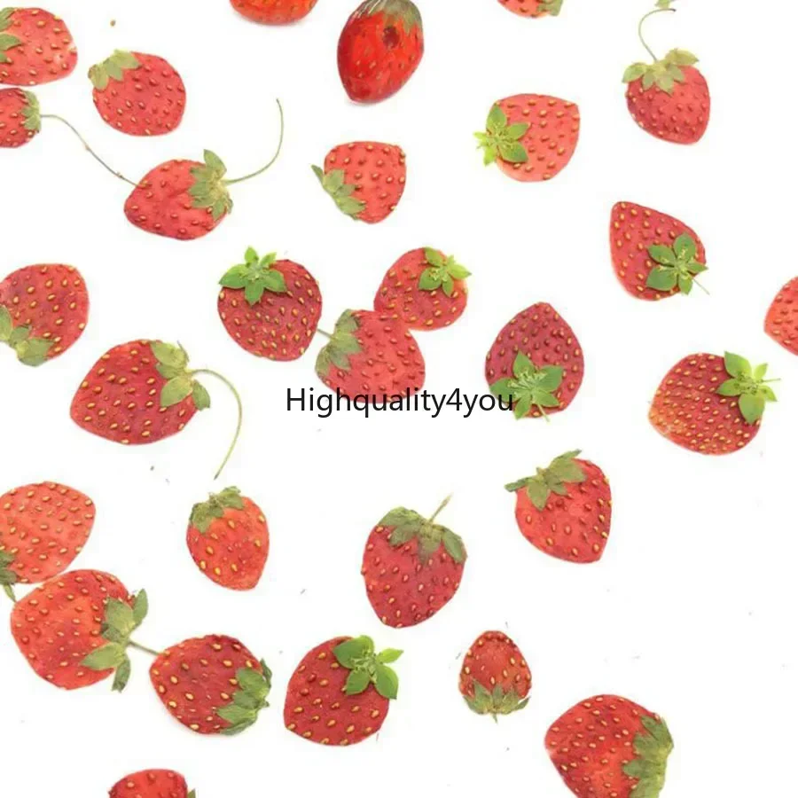 10pcs DRY Pressed MINI ผลไม้สต - Dried Flower Bookmark บทวิจารณ์และราคา