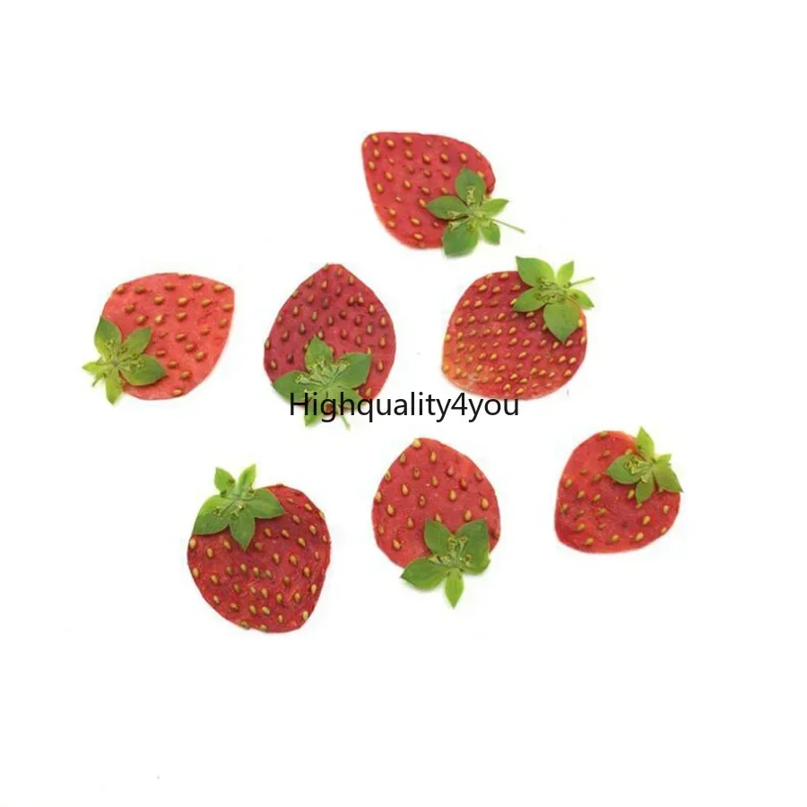 10pcs DRY Pressed MINI ผลไม้สต - Dried Flower Bookmark บทวิจารณ์และราคา
