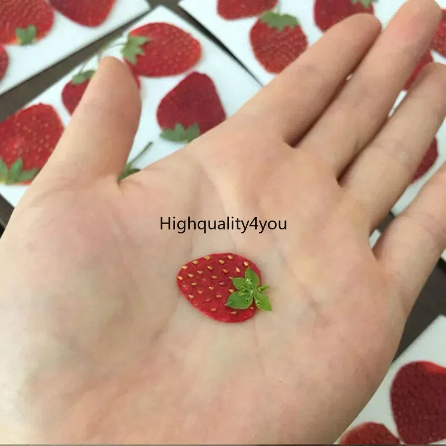 10pcs DRY Pressed MINI ผลไม้สต - Dried Flower Bookmark บทวิจารณ์และราคา