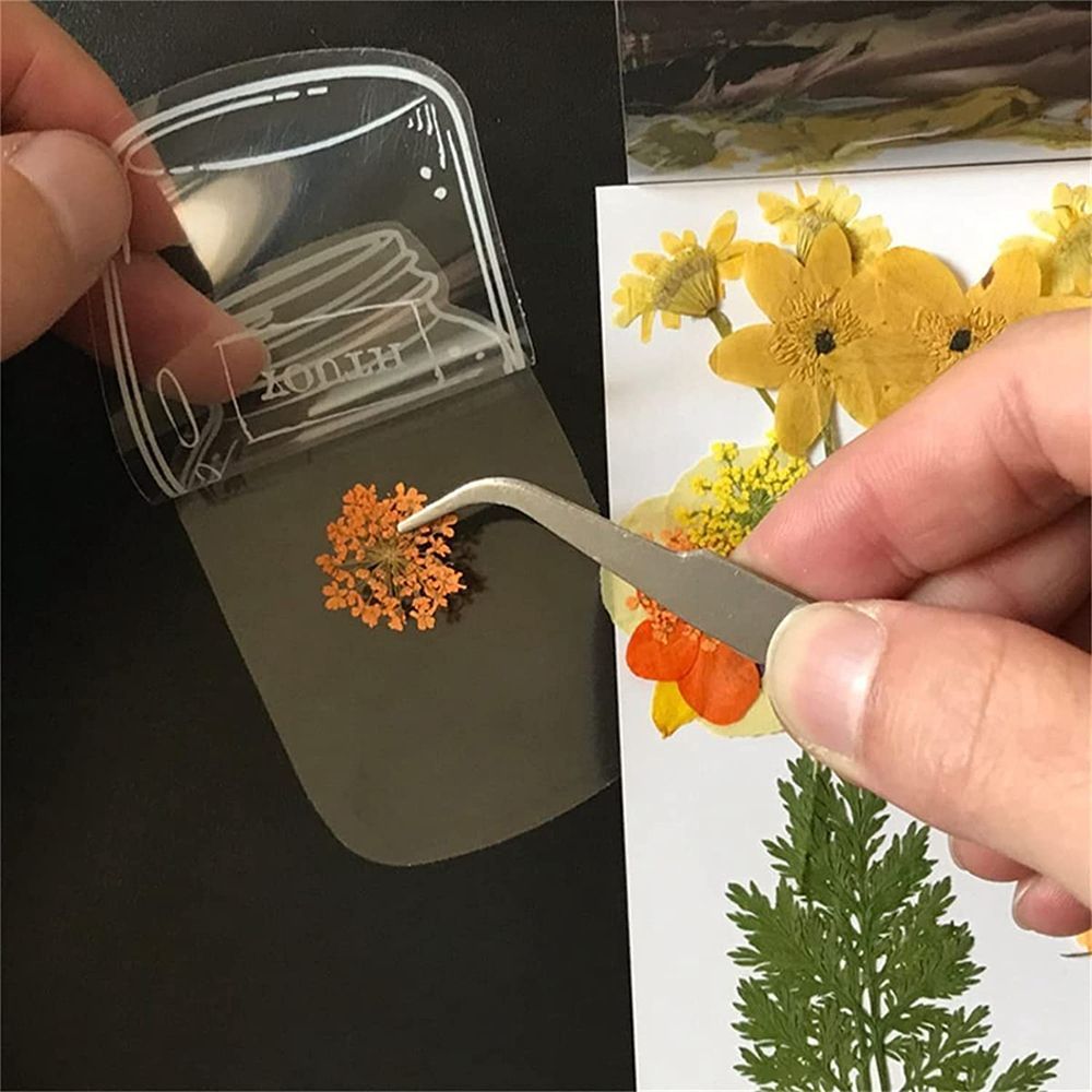 ที่คั่นหนังสือดอกไม้แห้งใส30ชิ - Dried Flower Bookmark บทวิจารณ์และราคา